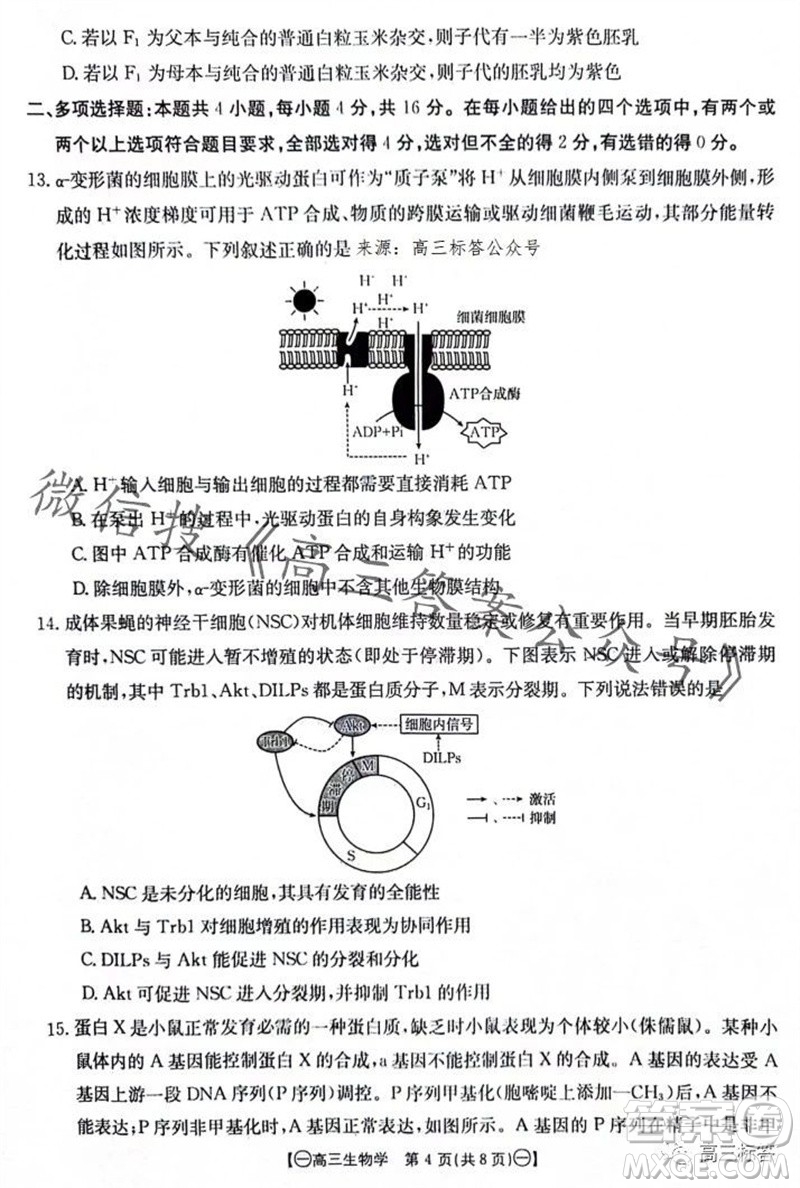 2024屆江西金太陽聯(lián)考高三10月26日生物試卷答案