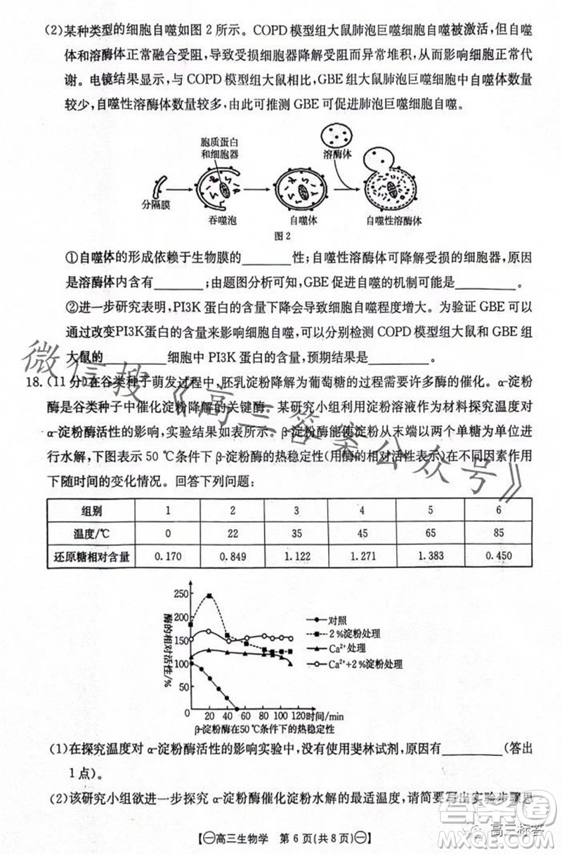 2024屆江西金太陽聯(lián)考高三10月26日生物試卷答案