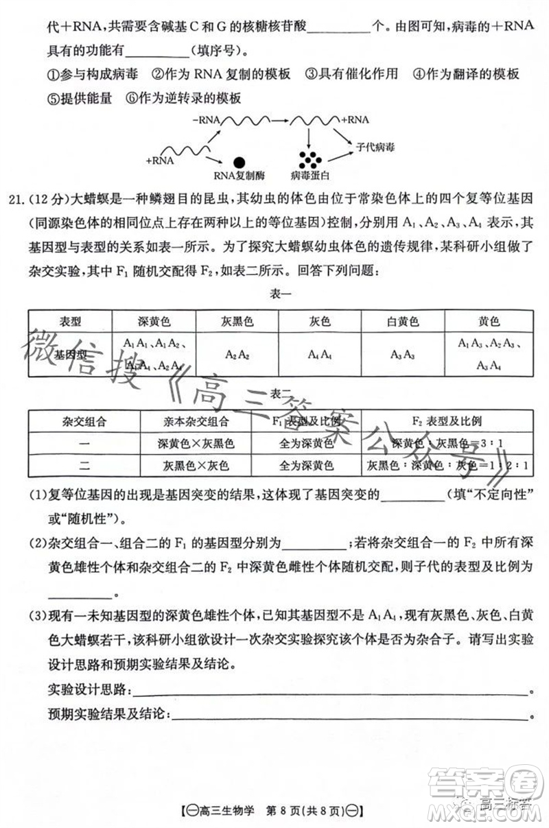 2024屆江西金太陽聯(lián)考高三10月26日生物試卷答案