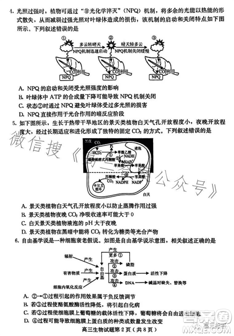 保定市2024屆高三10月份摸底考試生物試題答案