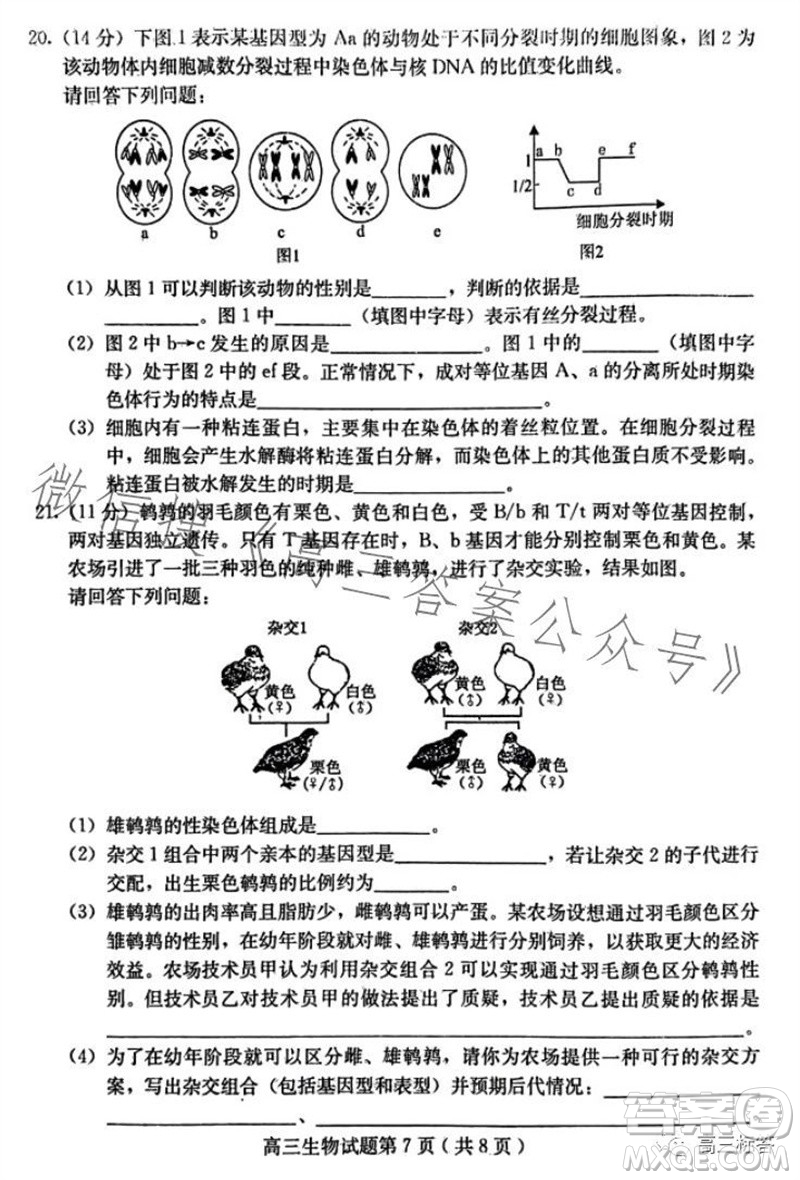 保定市2024屆高三10月份摸底考試生物試題答案