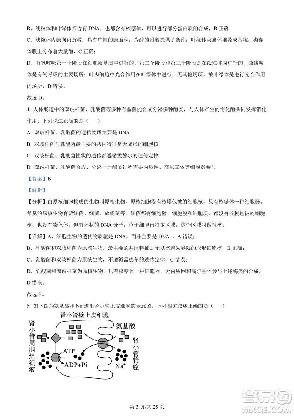 雅安市2024屆高三零診質(zhì)量檢測考試生物試題及答案