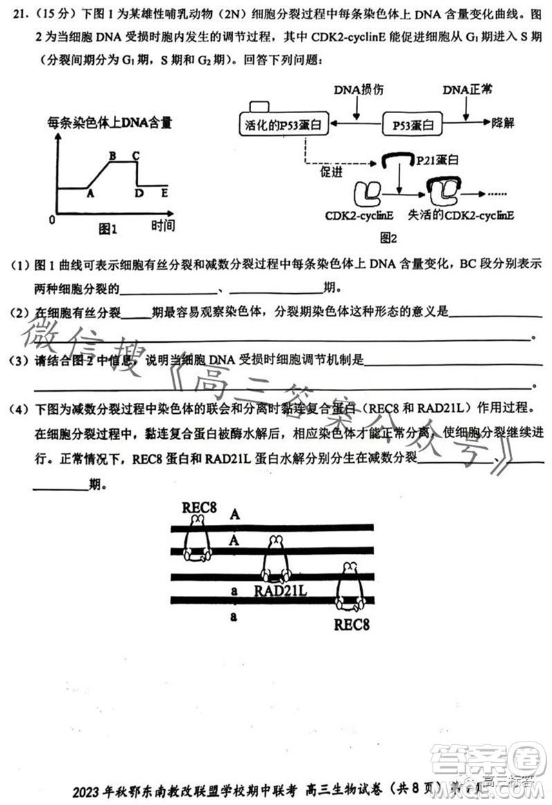 2023年秋鄂東南省級(jí)示范高中教育教學(xué)改革聯(lián)盟學(xué)校期中聯(lián)考高三生物試題答案