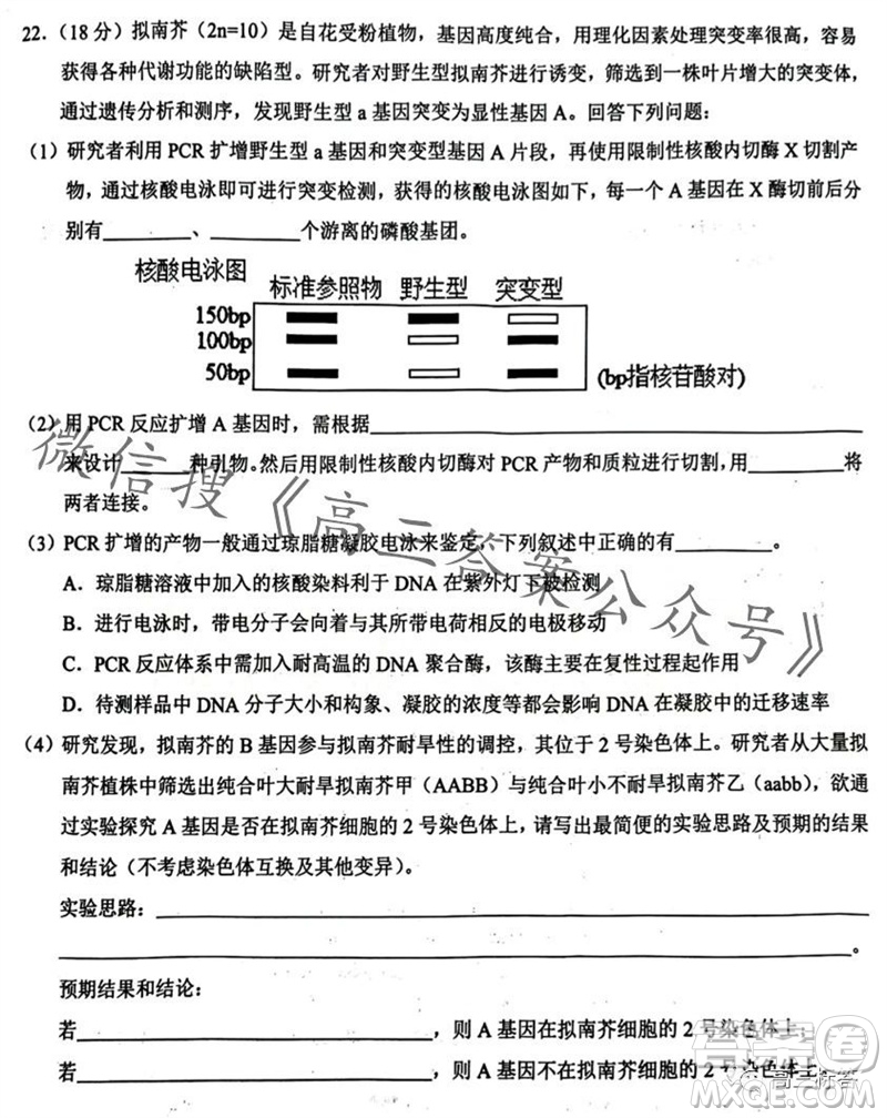 2023年秋鄂東南省級(jí)示范高中教育教學(xué)改革聯(lián)盟學(xué)校期中聯(lián)考高三生物試題答案