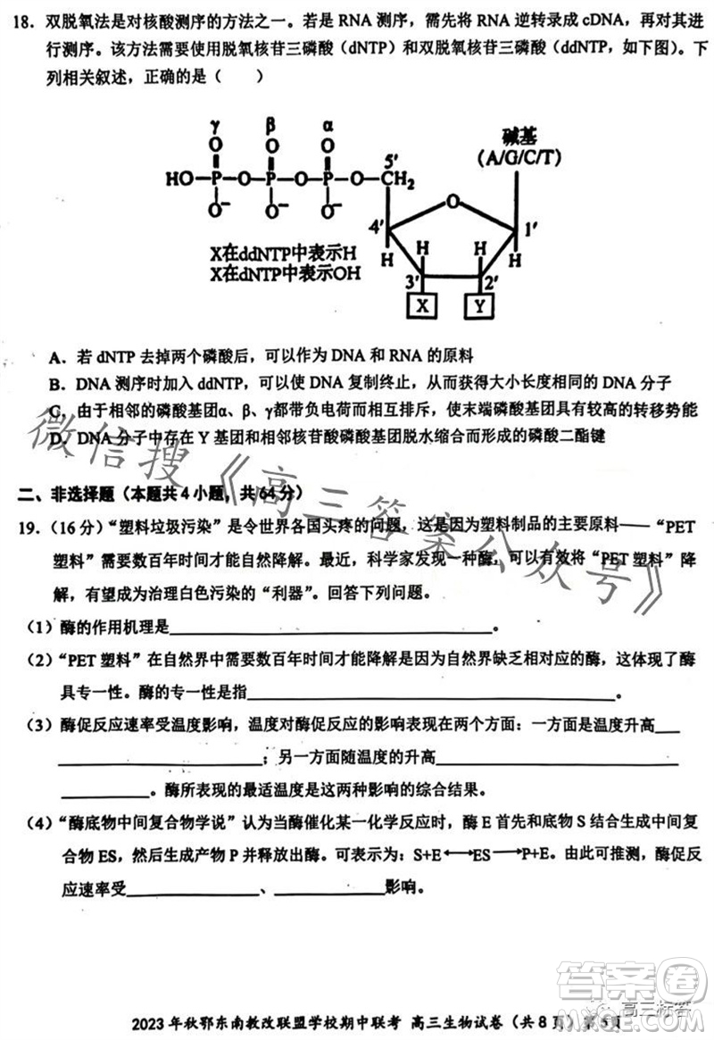 2023年秋鄂東南省級(jí)示范高中教育教學(xué)改革聯(lián)盟學(xué)校期中聯(lián)考高三生物試題答案