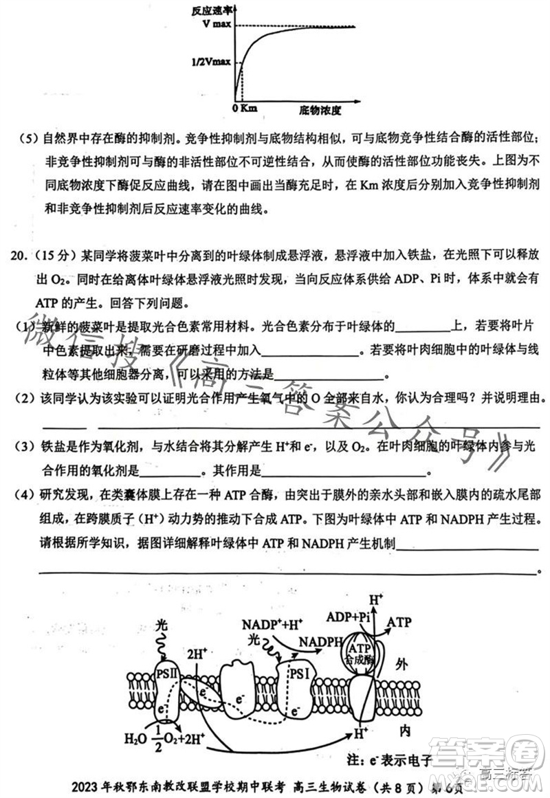 2023年秋鄂東南省級(jí)示范高中教育教學(xué)改革聯(lián)盟學(xué)校期中聯(lián)考高三生物試題答案