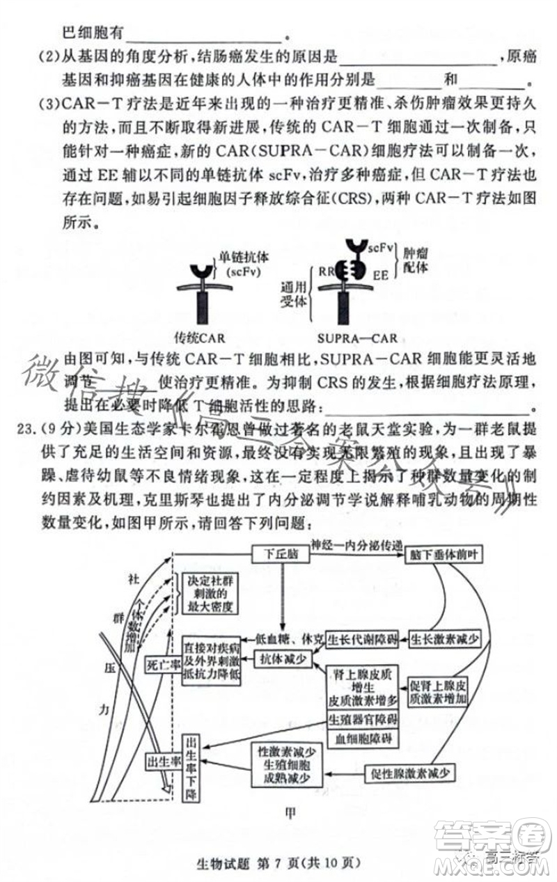 2023年11月湘豫名校聯(lián)考高三一輪復(fù)習(xí)診斷考試二生物試題答案