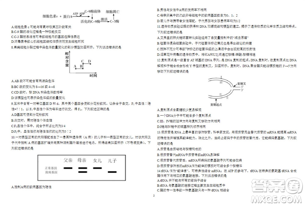 2024屆山東省高三年級(jí)適應(yīng)性聯(lián)考一生物試題答案