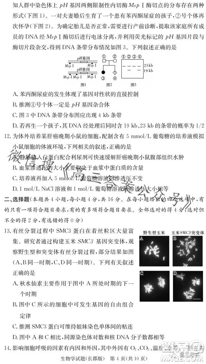 大聯(lián)考長(zhǎng)郡中學(xué)2024屆高三上學(xué)期月考試卷三生物試題答案