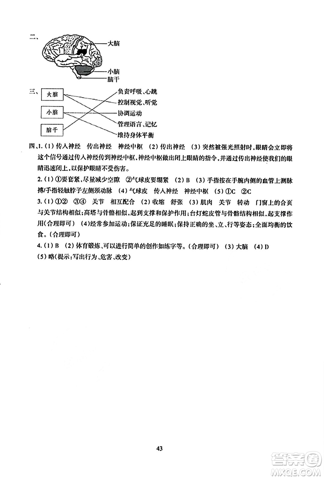 浙江教育出版社2023年秋學能評價五年級科學上冊教科版答案