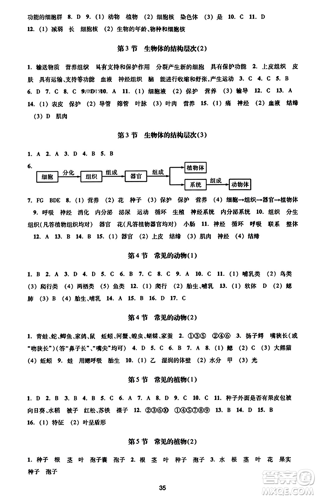 浙江教育出版社2023年秋學(xué)能評價七年級科學(xué)上冊通用版答案