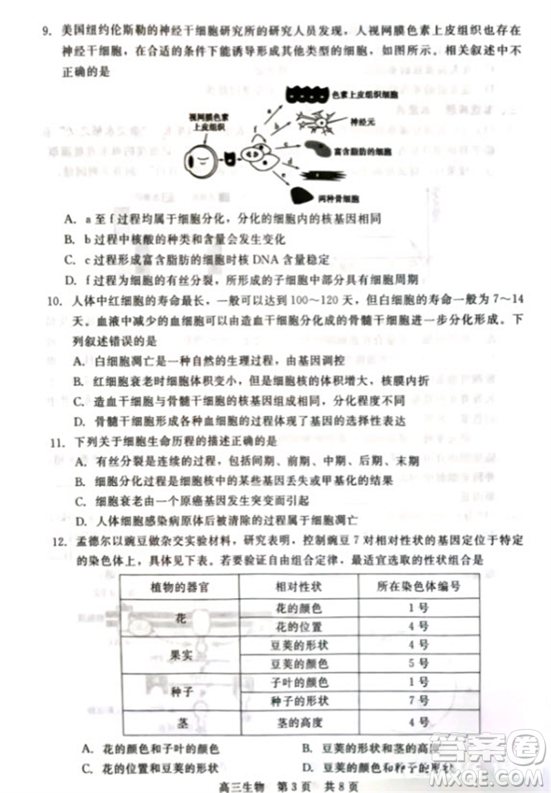 河北省新時(shí)代NT教育2024學(xué)年第一學(xué)期11月高三階段測(cè)試卷生物答案