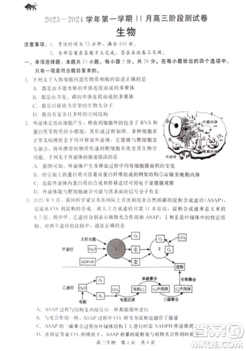 河北省新時(shí)代NT教育2024學(xué)年第一學(xué)期11月高三階段測(cè)試卷生物答案