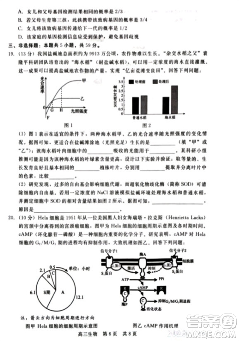 河北省新時(shí)代NT教育2024學(xué)年第一學(xué)期11月高三階段測(cè)試卷生物答案