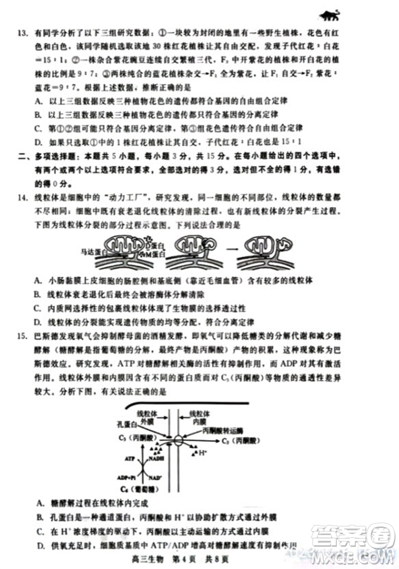 河北省新時(shí)代NT教育2024學(xué)年第一學(xué)期11月高三階段測(cè)試卷生物答案