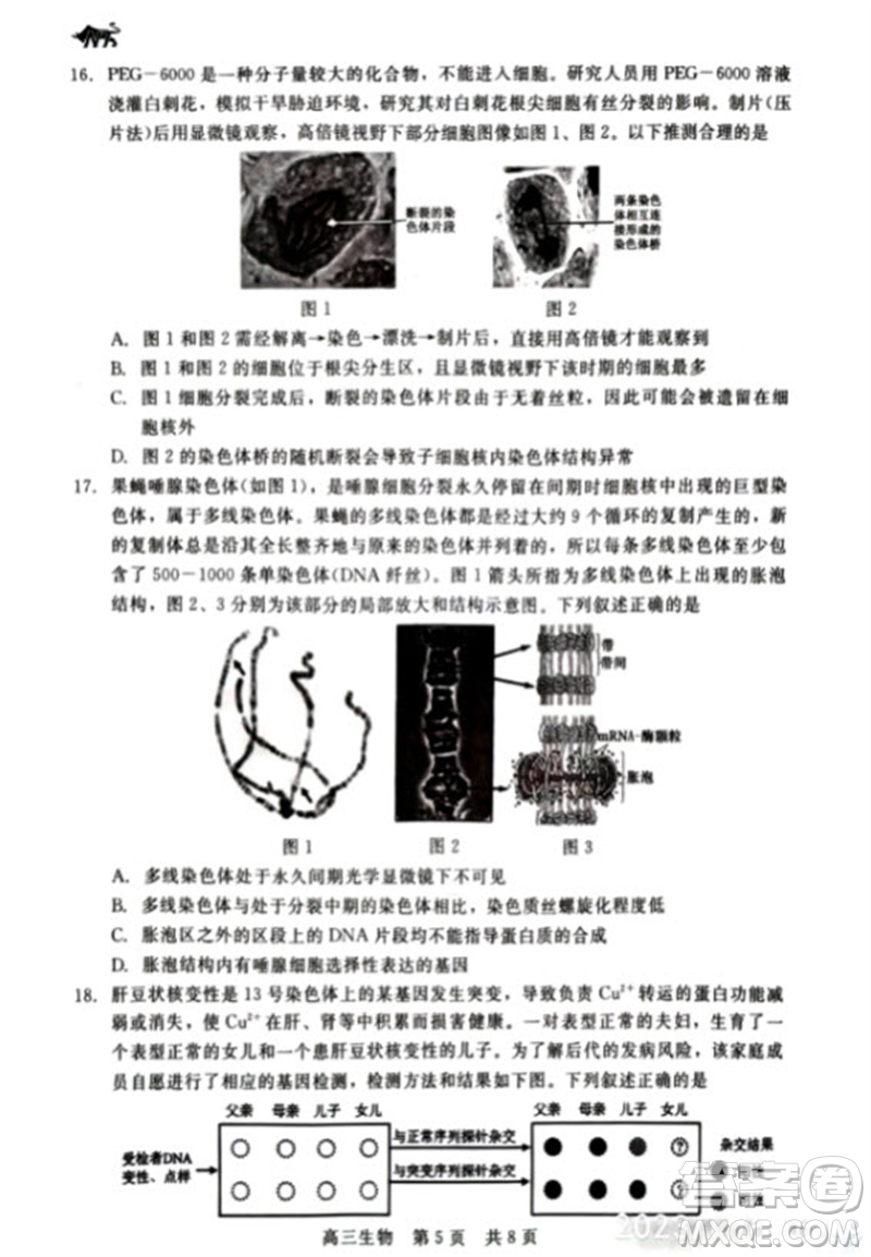 河北省新時(shí)代NT教育2024學(xué)年第一學(xué)期11月高三階段測(cè)試卷生物答案