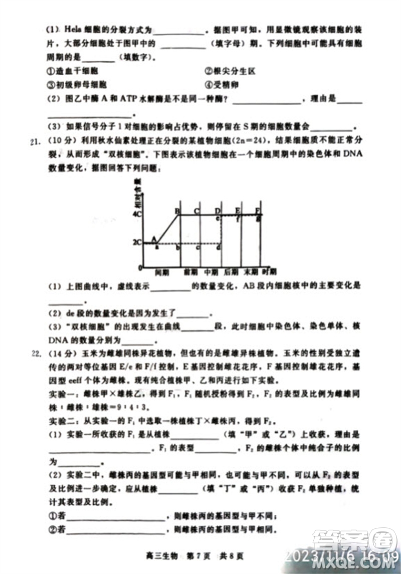 河北省新時(shí)代NT教育2024學(xué)年第一學(xué)期11月高三階段測(cè)試卷生物答案