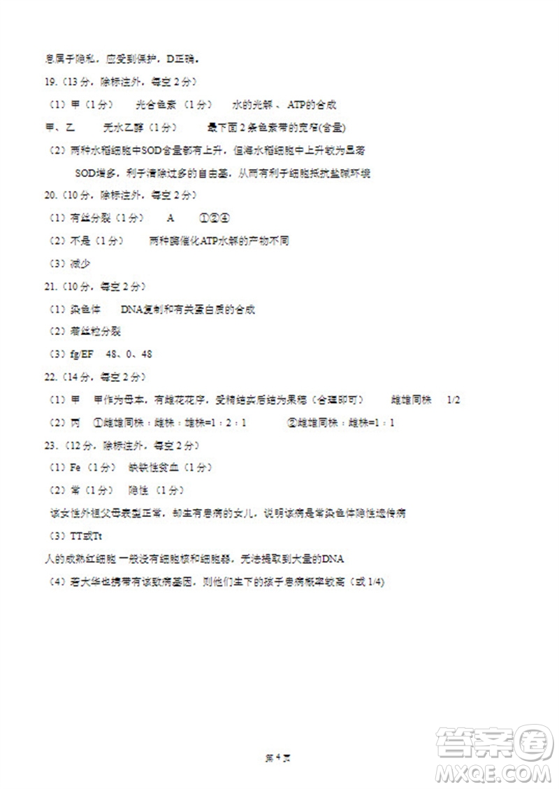 河北省新時(shí)代NT教育2024學(xué)年第一學(xué)期11月高三階段測(cè)試卷生物答案