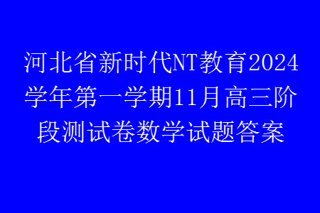 河北省新時代NT教育2024學(xué)年第一學(xué)期11月高三階段測試卷數(shù)學(xué)答案