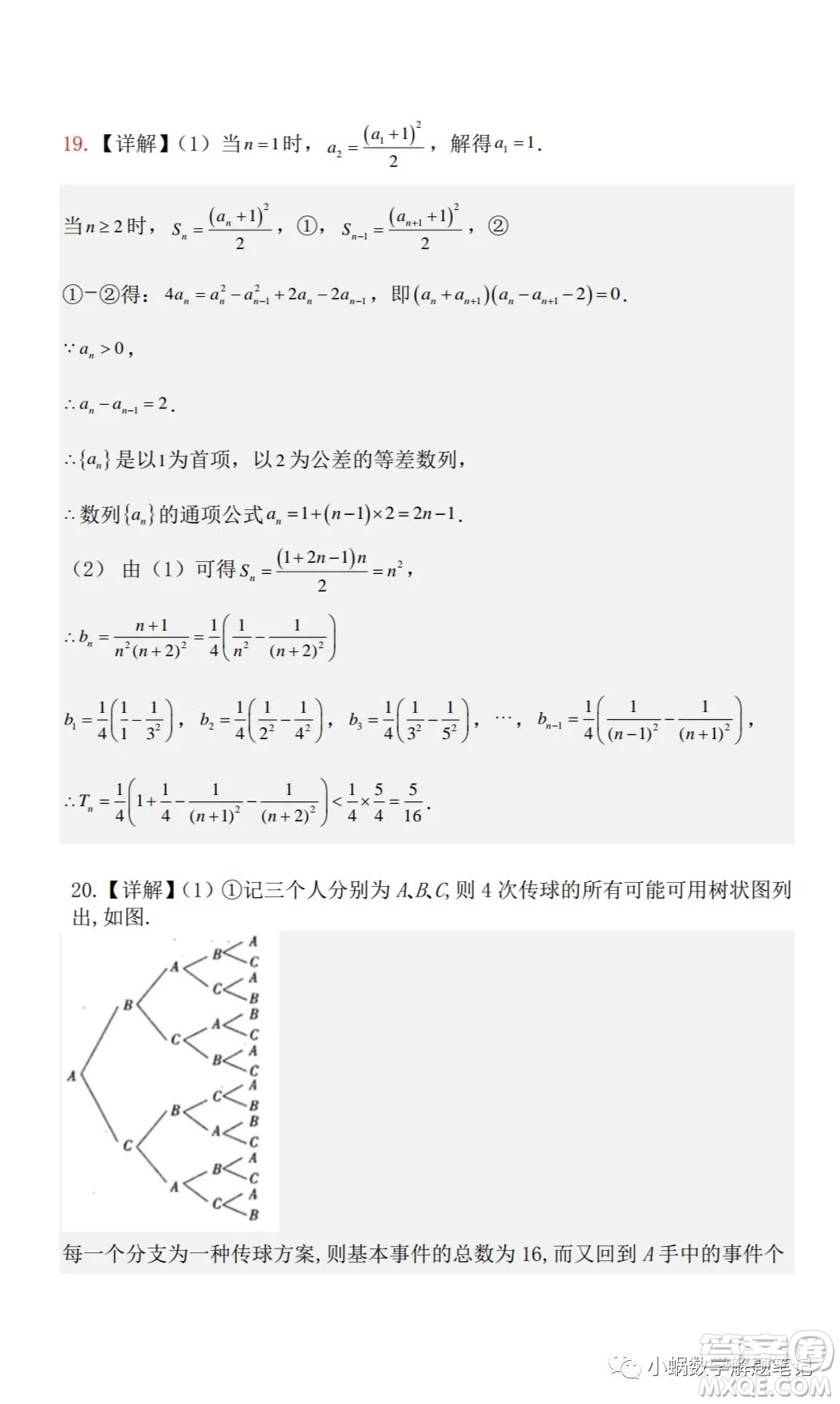 湖北省部分重點(diǎn)中學(xué)2024屆高三上學(xué)期第一次聯(lián)考數(shù)學(xué)試題答案