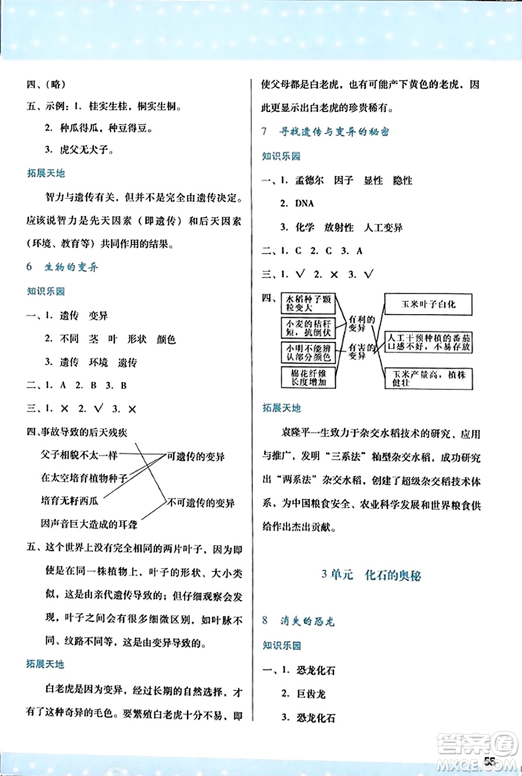 陜西人民教育出版社2023年秋學習與評價六年級科學上冊蘇教版答案