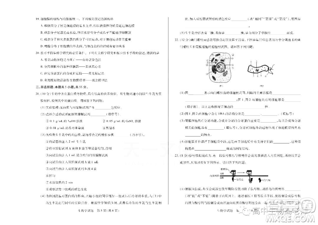 天一大聯(lián)考2022-2023學(xué)年高一上學(xué)期期中考試試題生物試卷答案