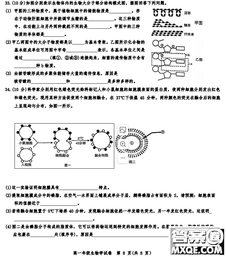 天津市河西區(qū)2023-2024高一上期中考試生物試題及答案