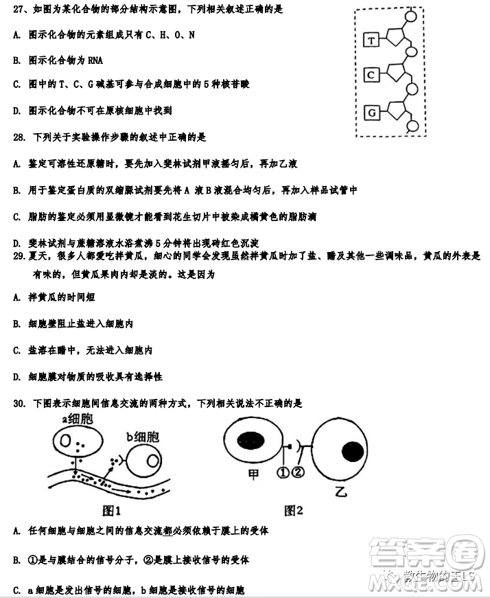 天津市河西區(qū)2023-2024高一上期中考試生物試題及答案