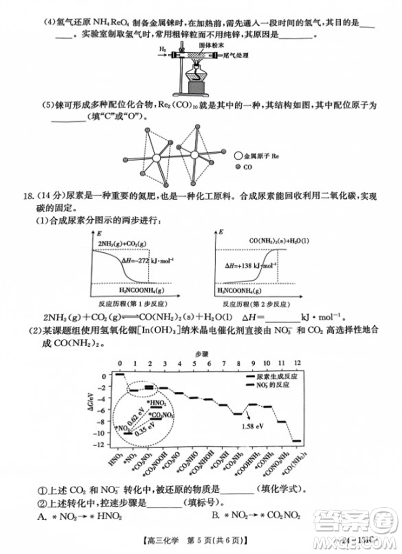 2024屆遼寧省高三年級(jí)11月金太陽(yáng)聯(lián)考24-131C化學(xué)試題答案