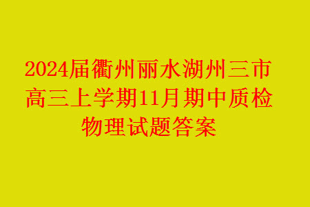 2024屆衢州麗水湖州三市高三上學(xué)期11月期中質(zhì)檢物理試題答案