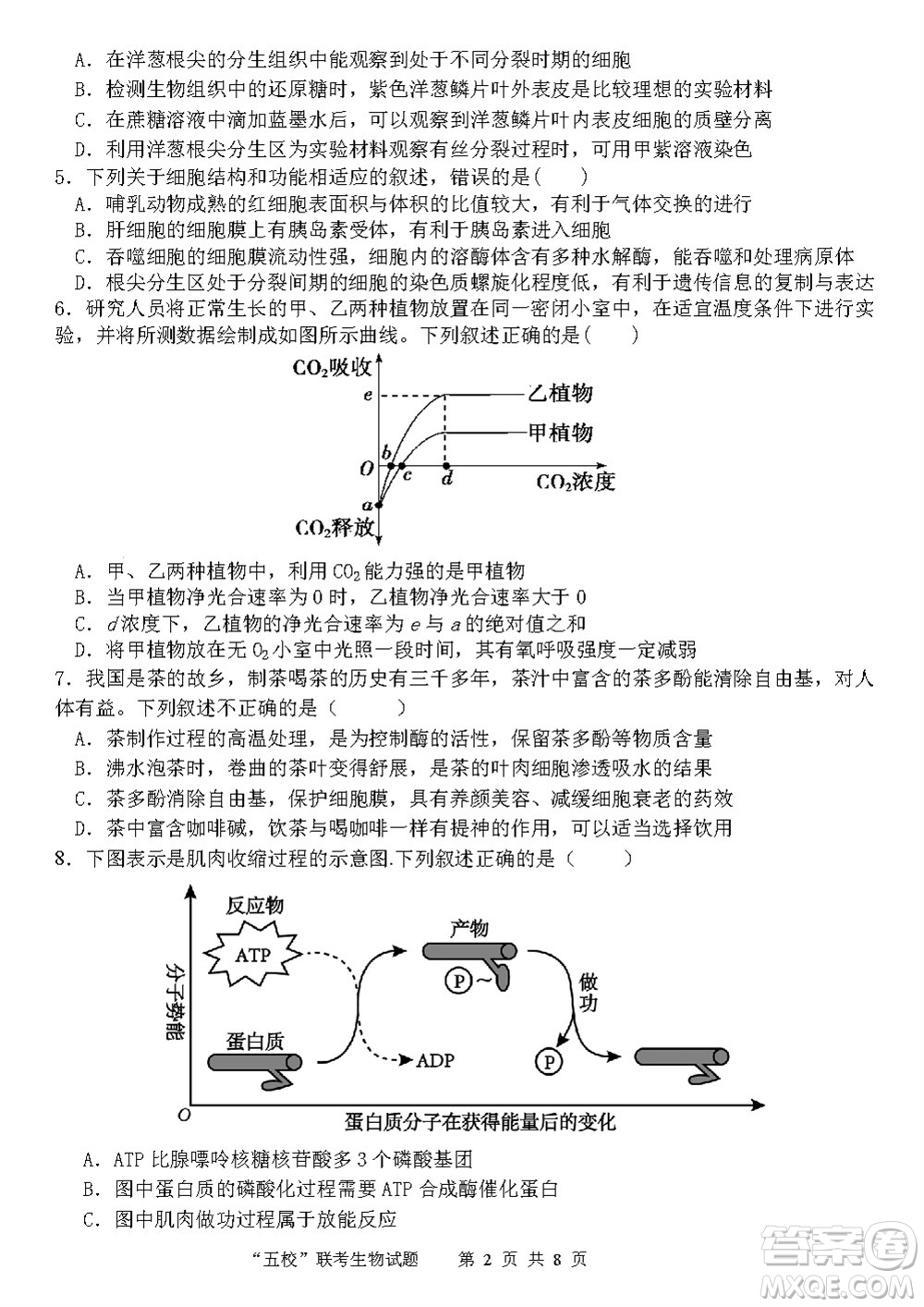 2024屆福建五校協(xié)作高三上學(xué)期11月聯(lián)考生物試題答案