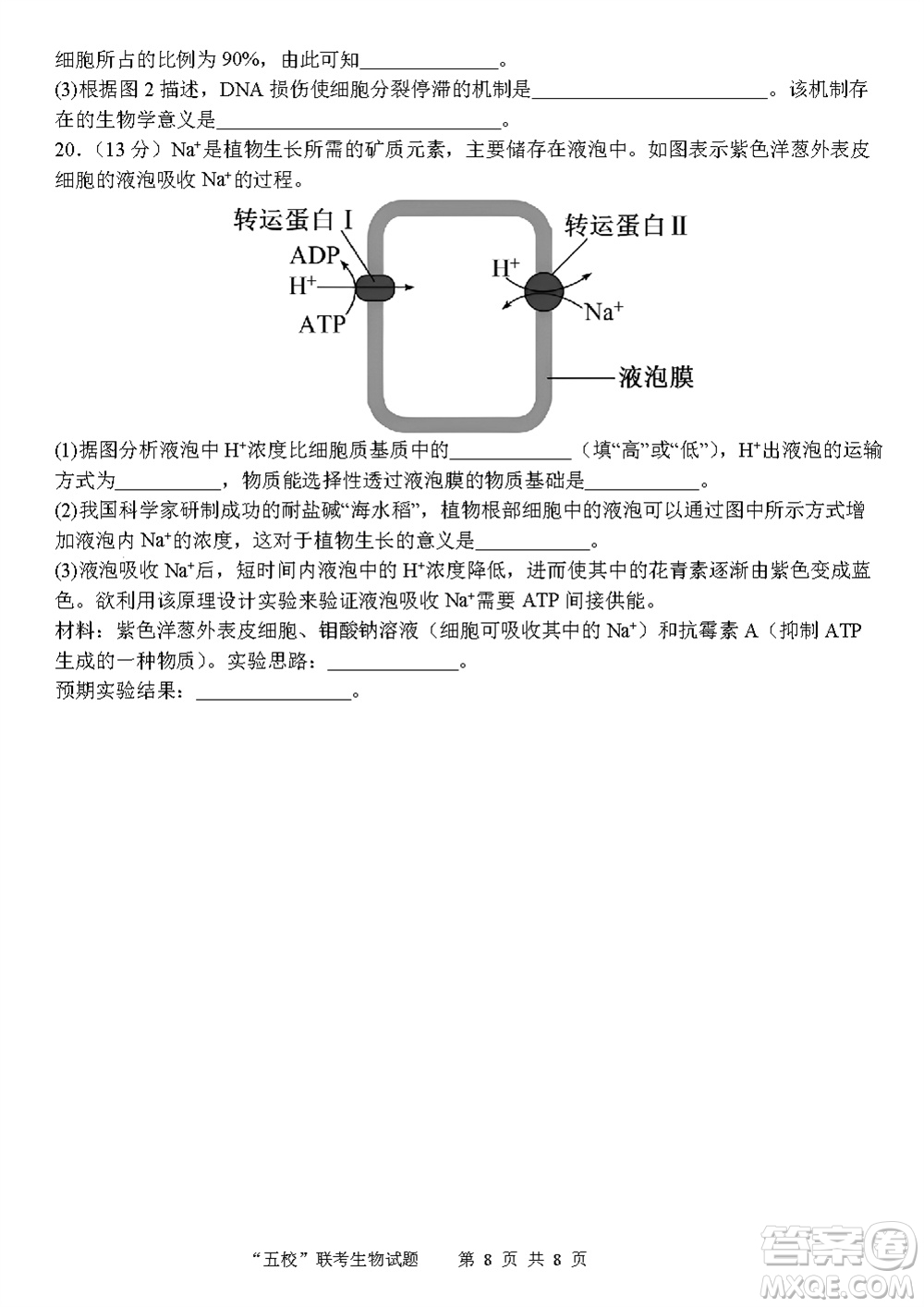 2024屆福建五校協(xié)作高三上學(xué)期11月聯(lián)考生物試題答案