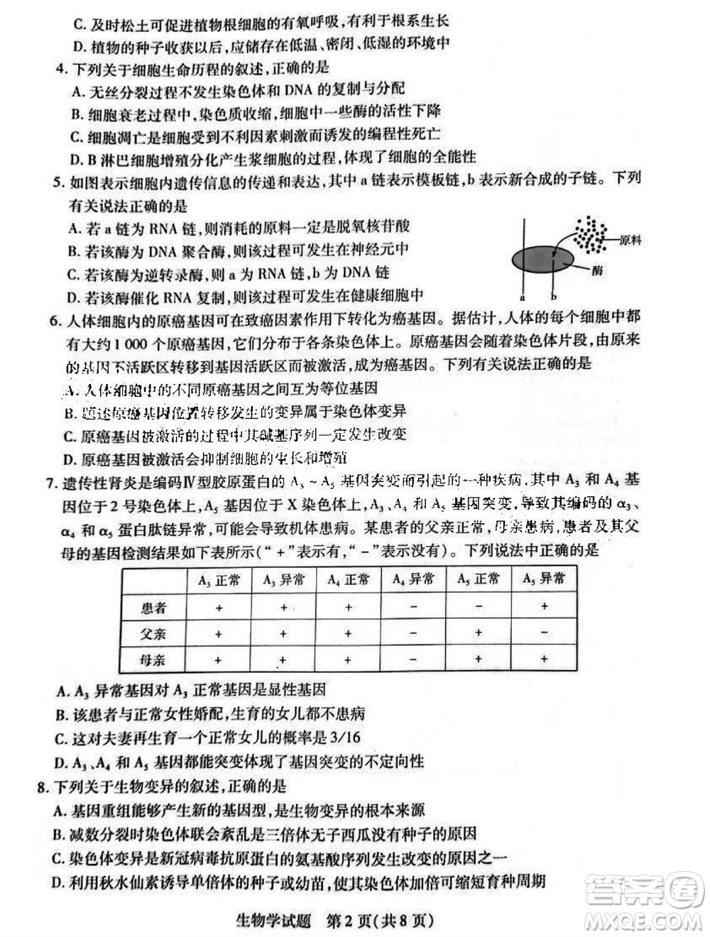 河南省天一大聯(lián)考2023-2024學年高三上學期11月階段性測試三生物試題答案