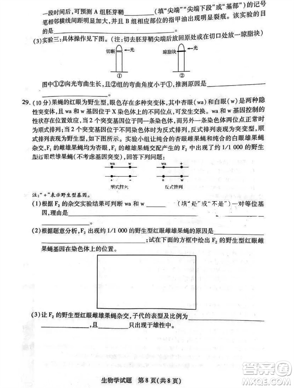 河南省天一大聯(lián)考2023-2024學年高三上學期11月階段性測試三生物試題答案