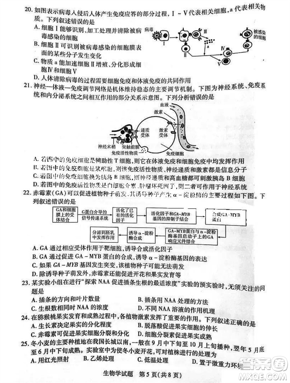 河南省天一大聯(lián)考2023-2024學年高三上學期11月階段性測試三生物試題答案