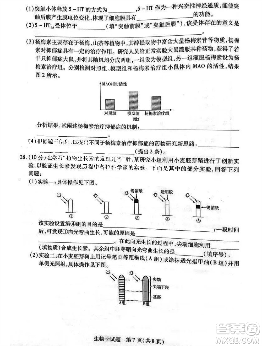 河南省天一大聯(lián)考2023-2024學年高三上學期11月階段性測試三生物試題答案