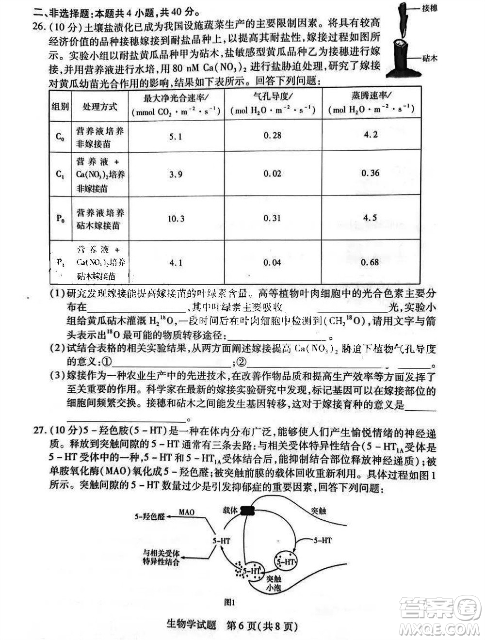 河南省天一大聯(lián)考2023-2024學年高三上學期11月階段性測試三生物試題答案