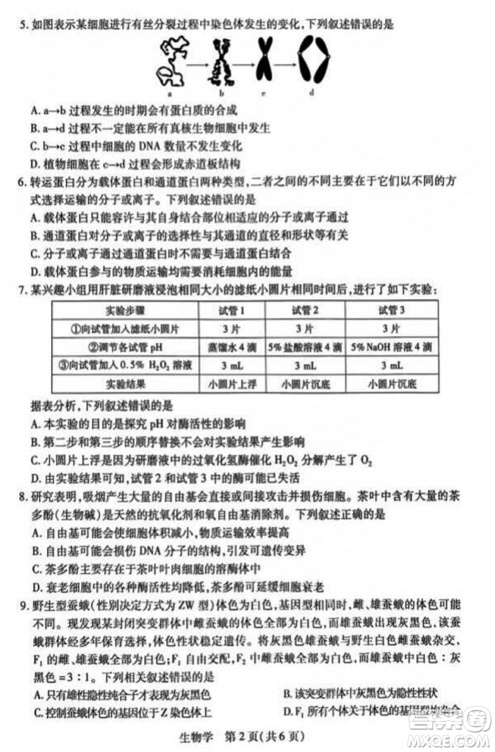 江西省穩(wěn)派2024屆高三11月一輪總復(fù)習(xí)調(diào)研測(cè)試生物試題答案