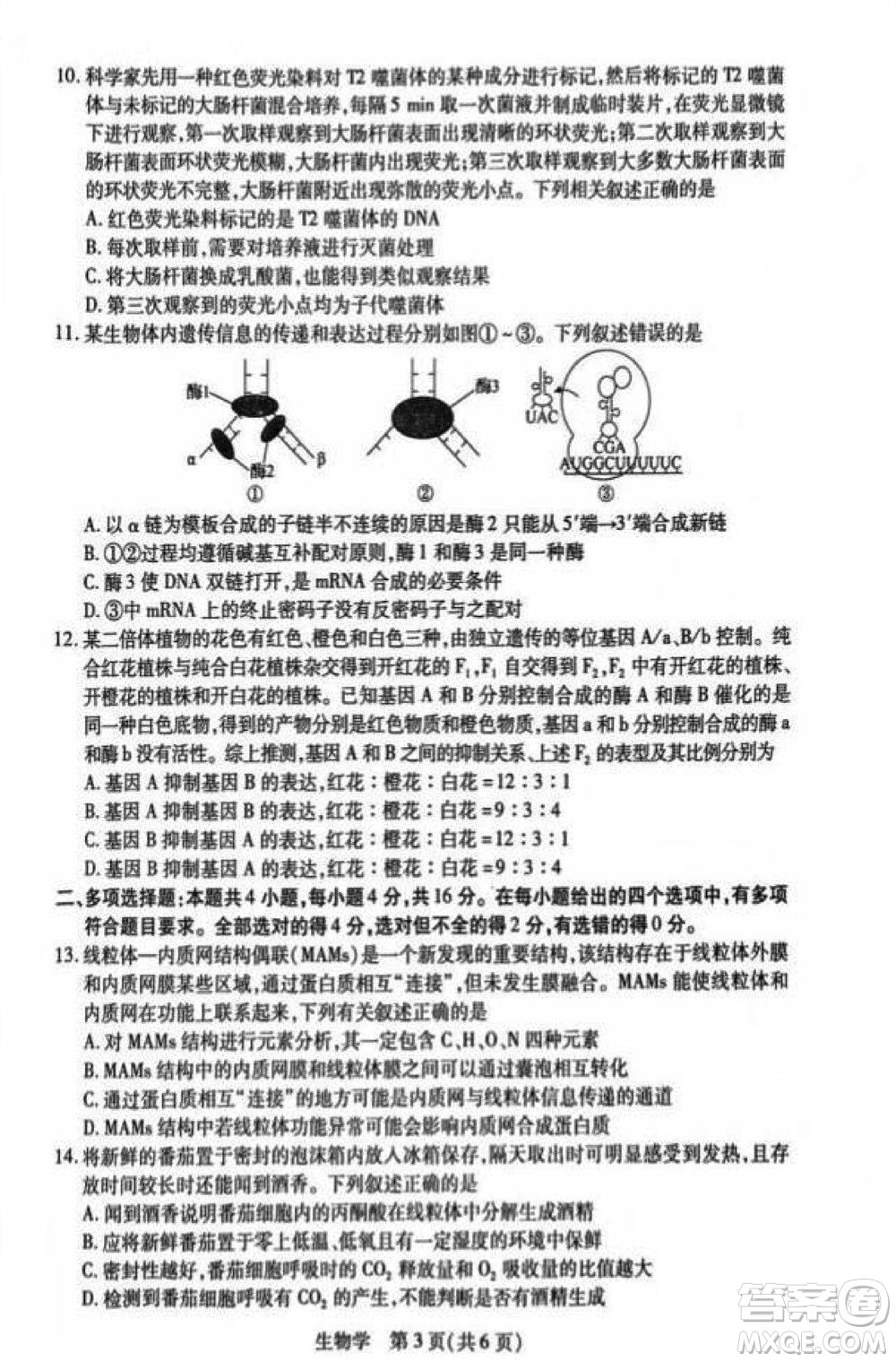 江西省穩(wěn)派2024屆高三11月一輪總復(fù)習(xí)調(diào)研測(cè)試生物試題答案