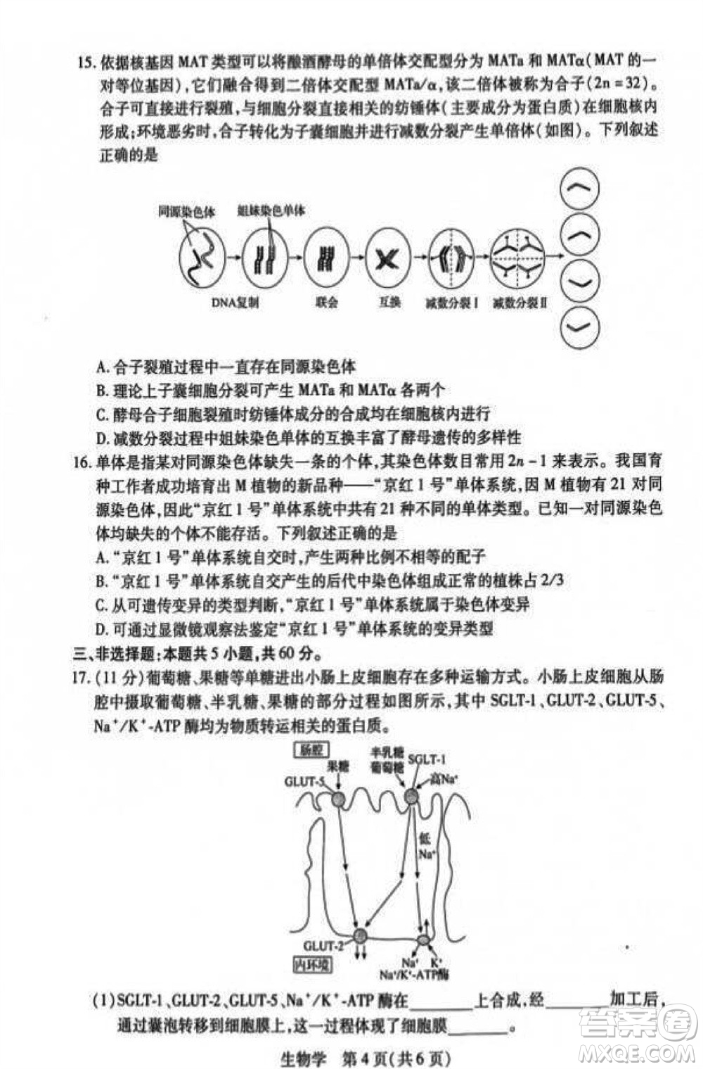 江西省穩(wěn)派2024屆高三11月一輪總復(fù)習(xí)調(diào)研測(cè)試生物試題答案