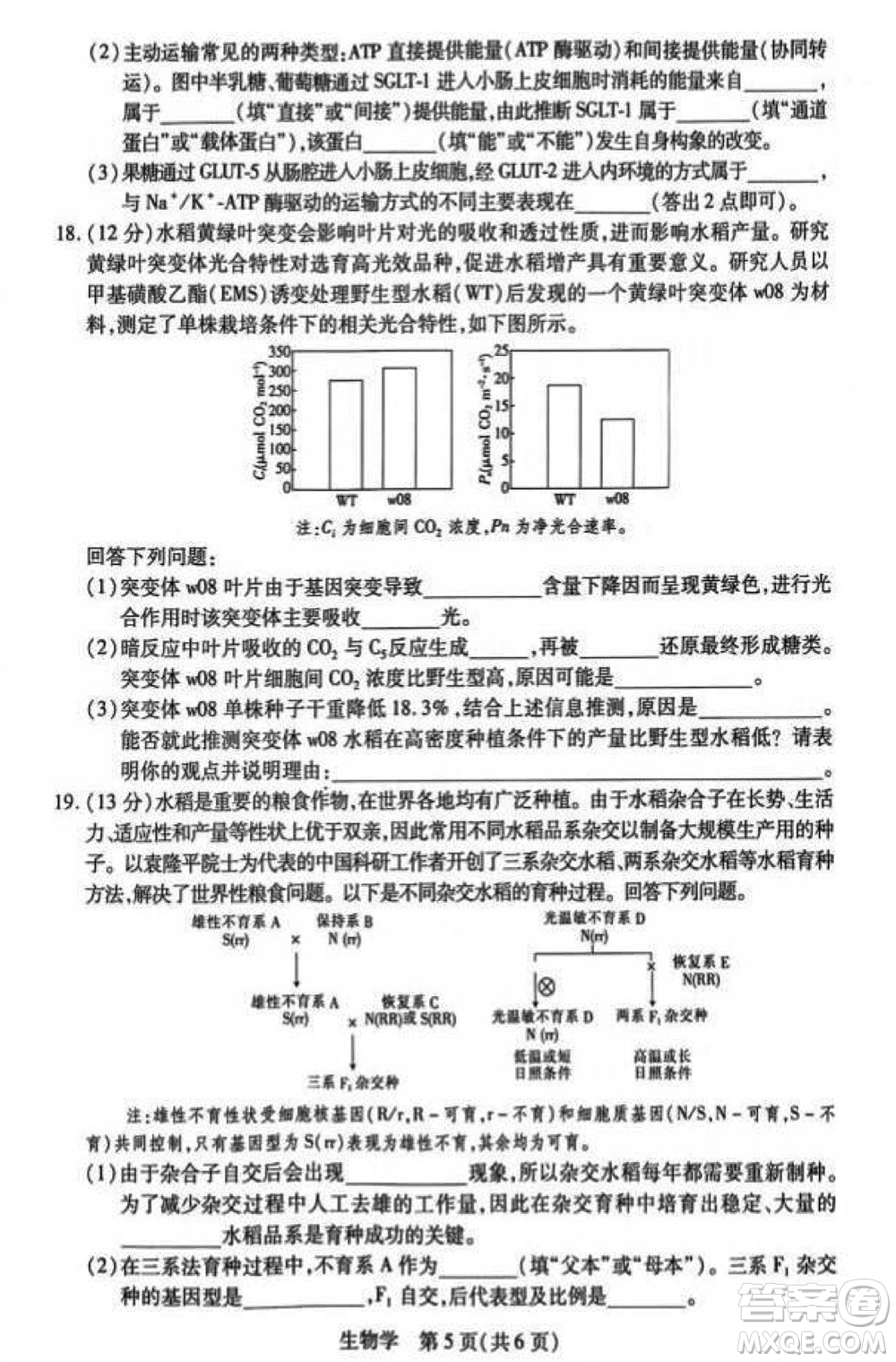 江西省穩(wěn)派2024屆高三11月一輪總復(fù)習(xí)調(diào)研測(cè)試生物試題答案