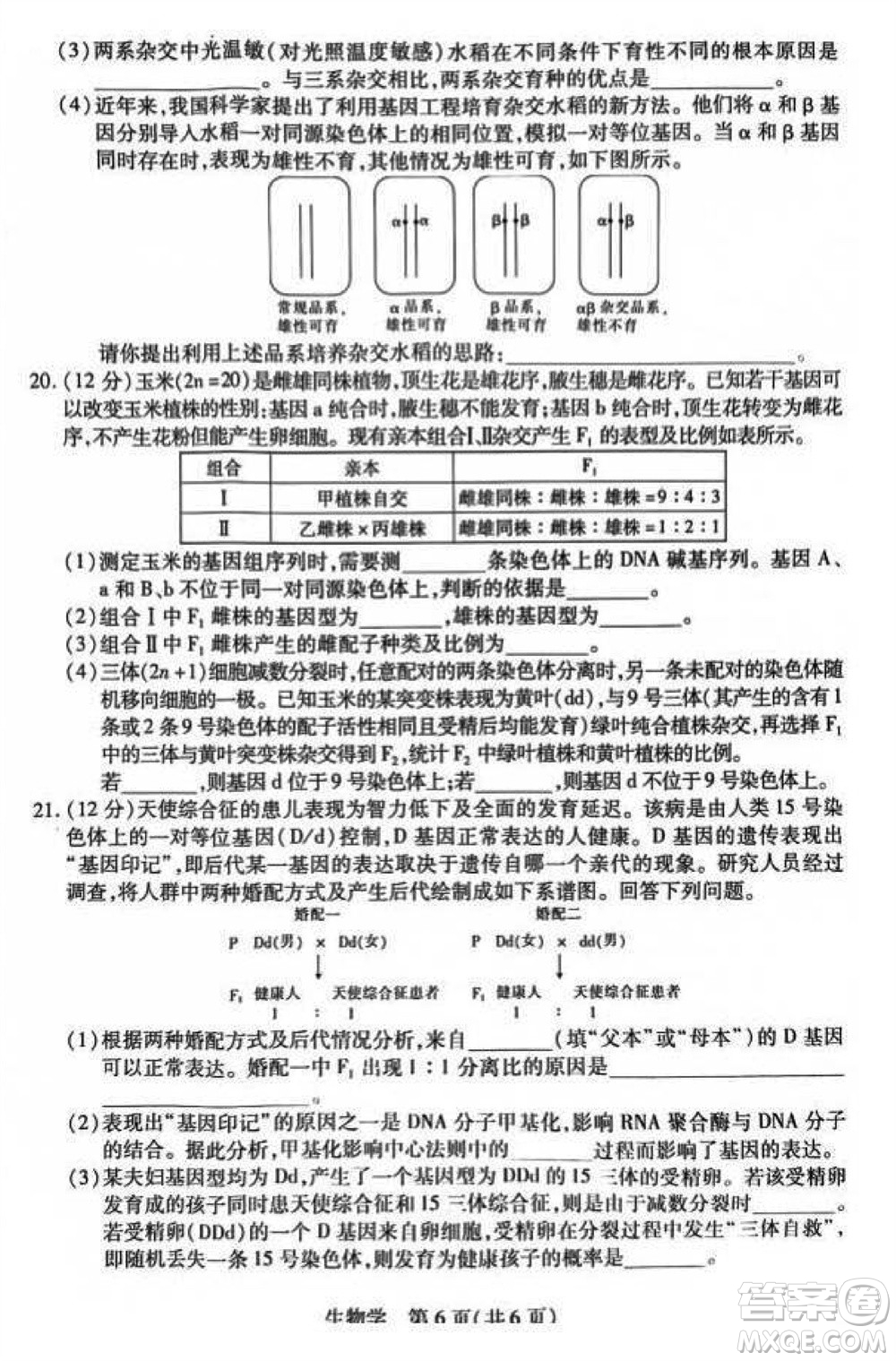 江西省穩(wěn)派2024屆高三11月一輪總復(fù)習(xí)調(diào)研測(cè)試生物試題答案