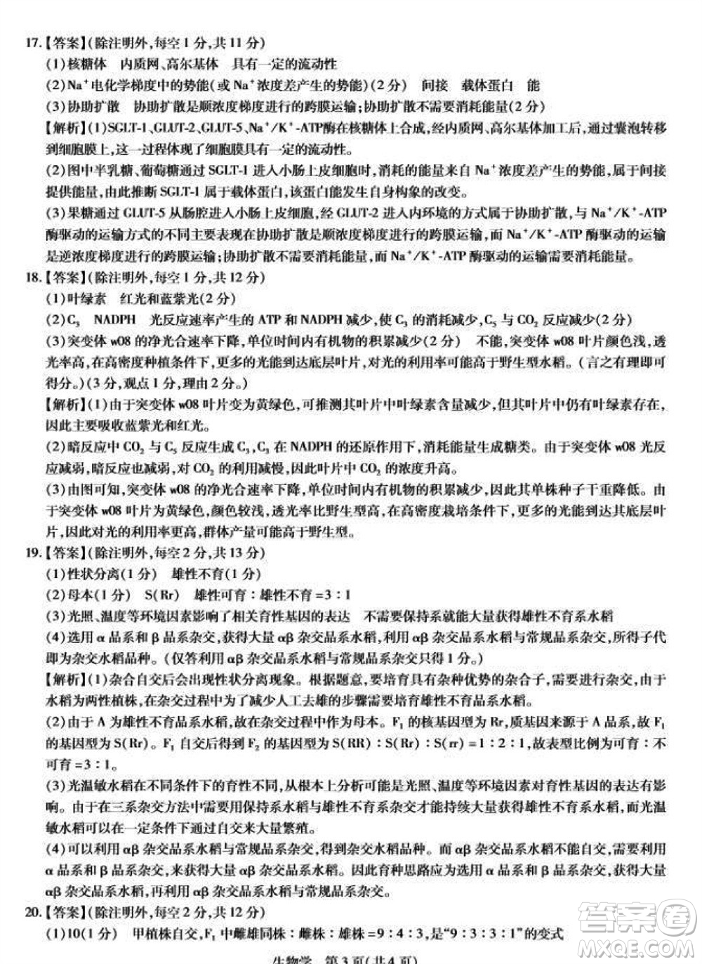 江西省穩(wěn)派2024屆高三11月一輪總復(fù)習(xí)調(diào)研測(cè)試生物試題答案