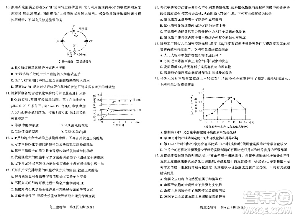 太原市2023-2024學(xué)年高三上學(xué)期期中學(xué)業(yè)診斷生物試題答案