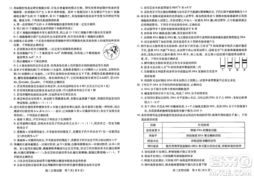 運(yùn)城市2023-2024學(xué)年高三第一學(xué)期期中調(diào)研測試生物試題答案