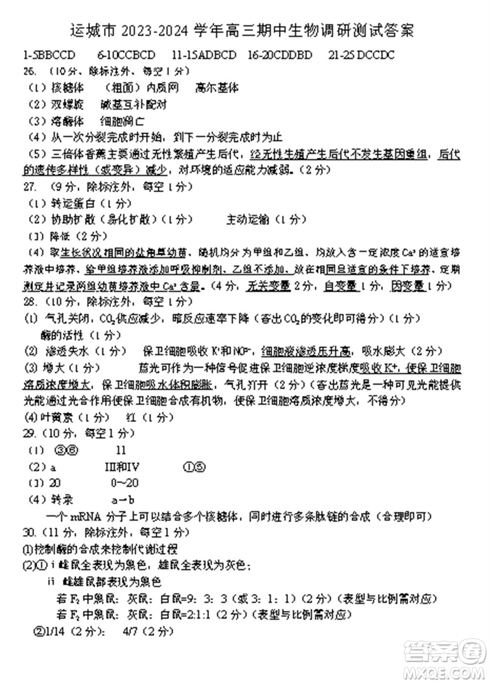 運(yùn)城市2023-2024學(xué)年高三第一學(xué)期期中調(diào)研測試生物試題答案