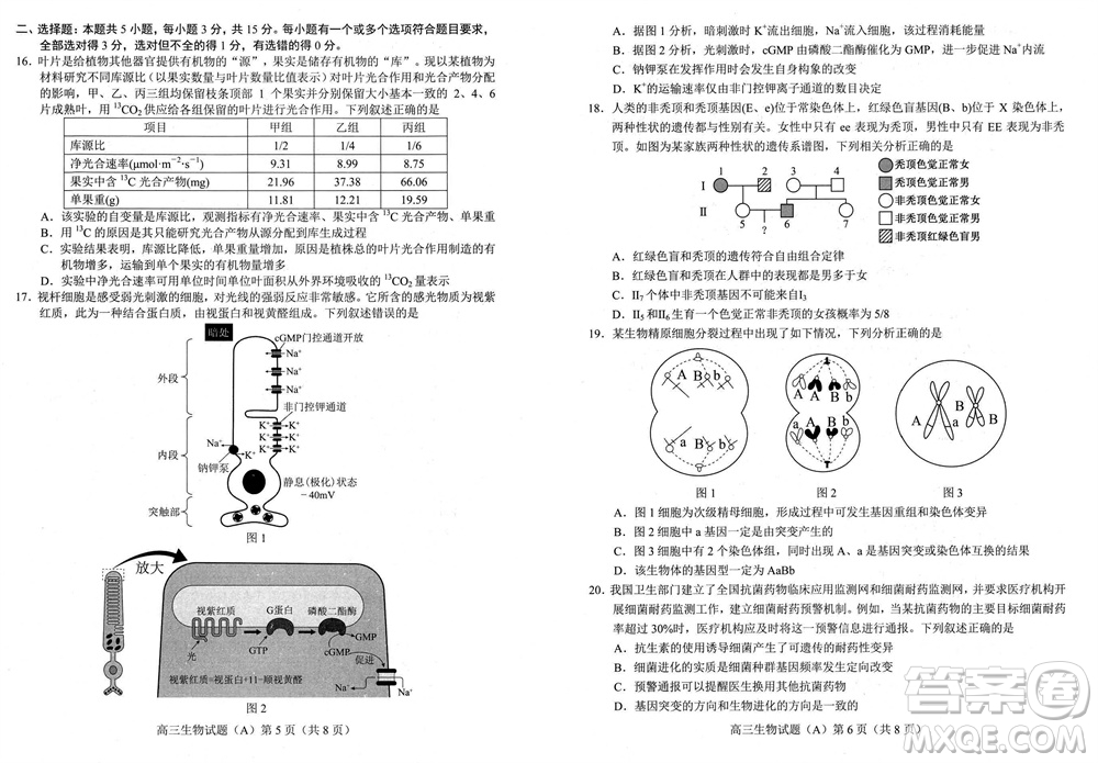 菏澤市2023-2024學(xué)年高三上學(xué)期期中考試生物試題A答案