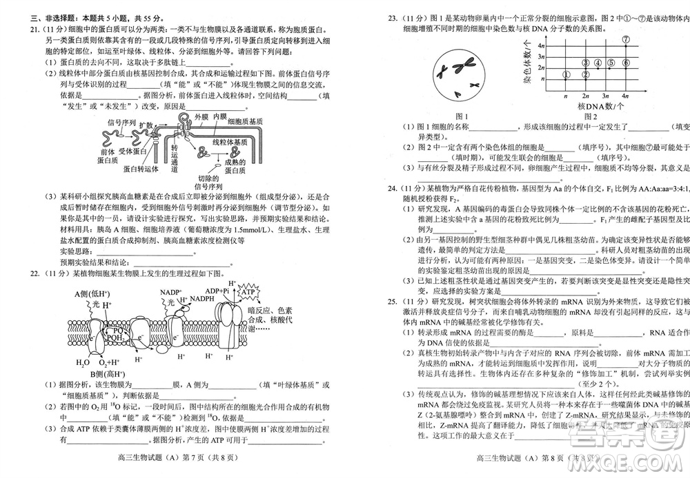 菏澤市2023-2024學(xué)年高三上學(xué)期期中考試生物試題A答案