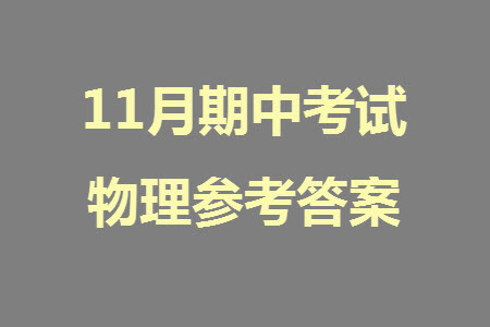 南通市2023-2024學(xué)年高三上學(xué)期期中考試考前模擬卷物理答案