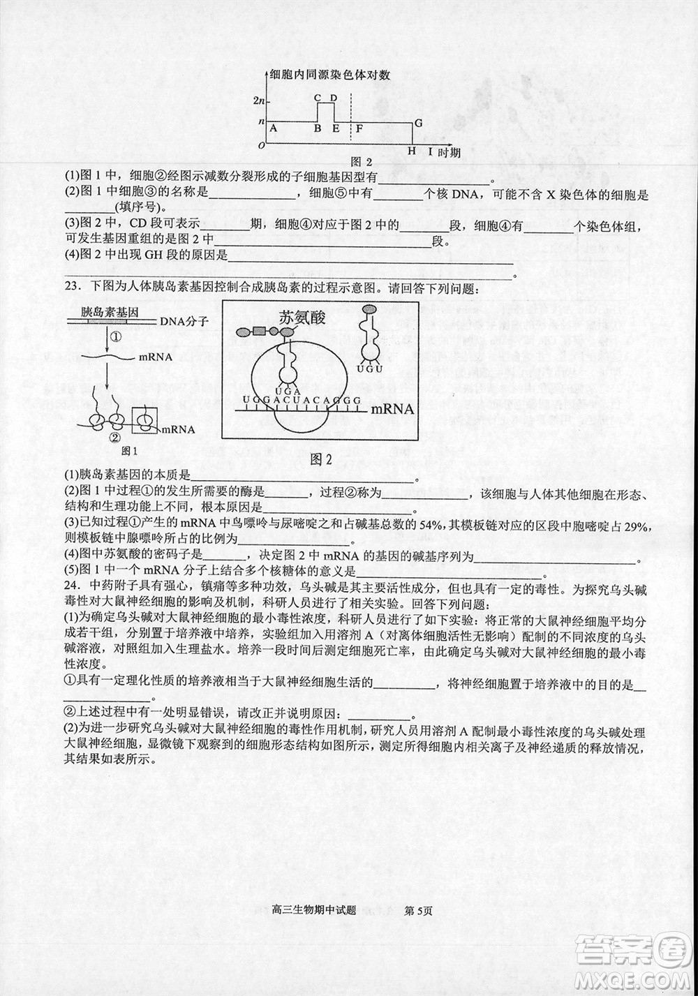 遼寧省2023-2024學年上學期遼西聯(lián)合校高三11月期中考試生物答案